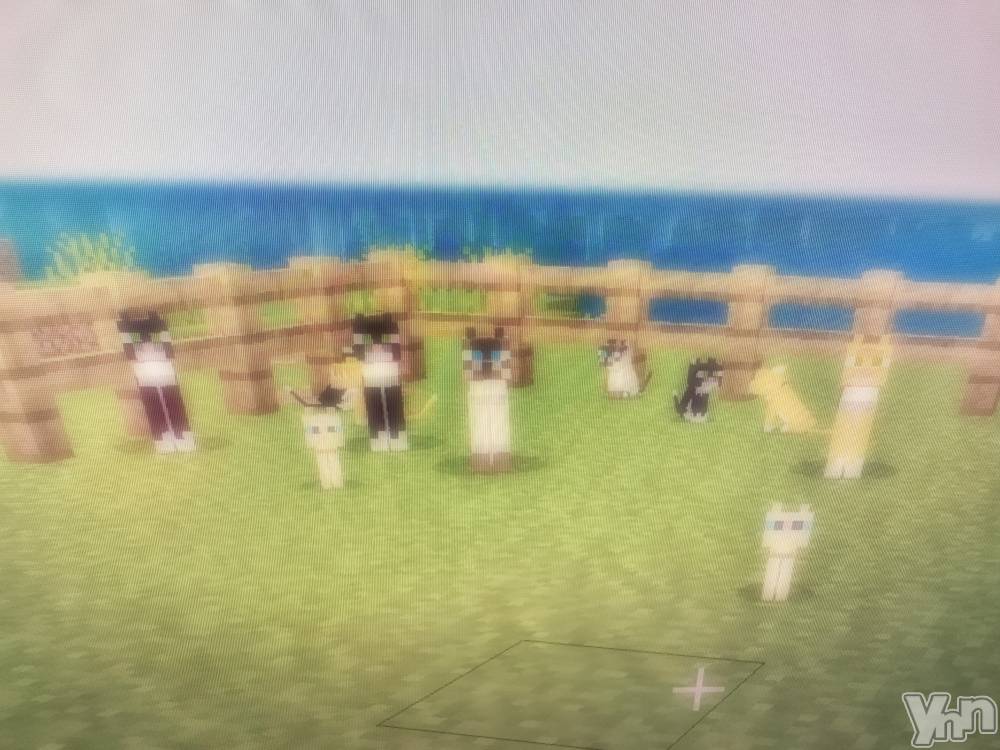 ���ܥ���Х��顦�����CLUB WONDER(����� ������) ������11��14���̥�֥����ֹȤ˺餤�����β֤βָ��դϡ�Υ��椯���ס�