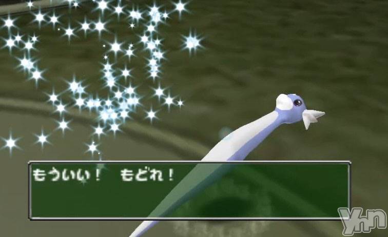 ���ܥ���Х��顦�����CLUB WONDER(����� ������) ������12��17���̥�֥����ַ����ˤ˻Ĥ����ο���