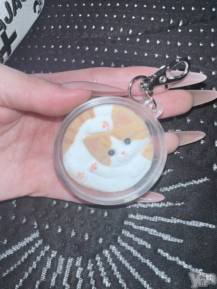 ���ܥ���Х��顦�����CLUB WONDER(����� ������) ������4��16���̥�֥����ֲƤ��Ϥޤä��Ȥ��ͤȷ�����������������