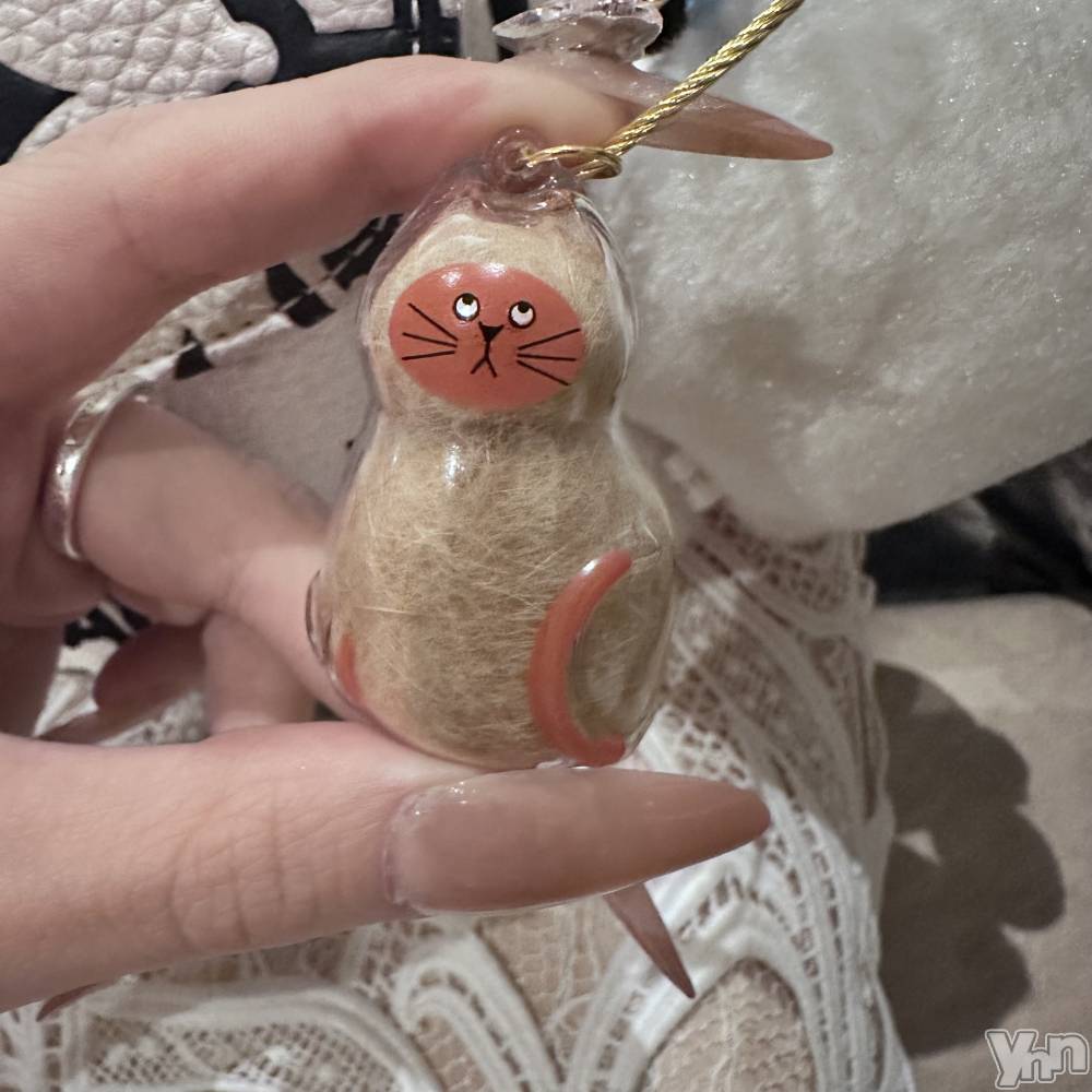 ���ܥ���Х��顦�����CLUB WONDER(����� ������) ������4��18���̥�֥��������Ϥ��������ڤΤ褦�����򤷤Ƥ������