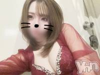 ���ܥ���Х��顦����� CLUB WONDER(����� ������) ������3��7���̥�֥�������ͤ�ʪ����԰¤ȴ�˾�������Ƥ��