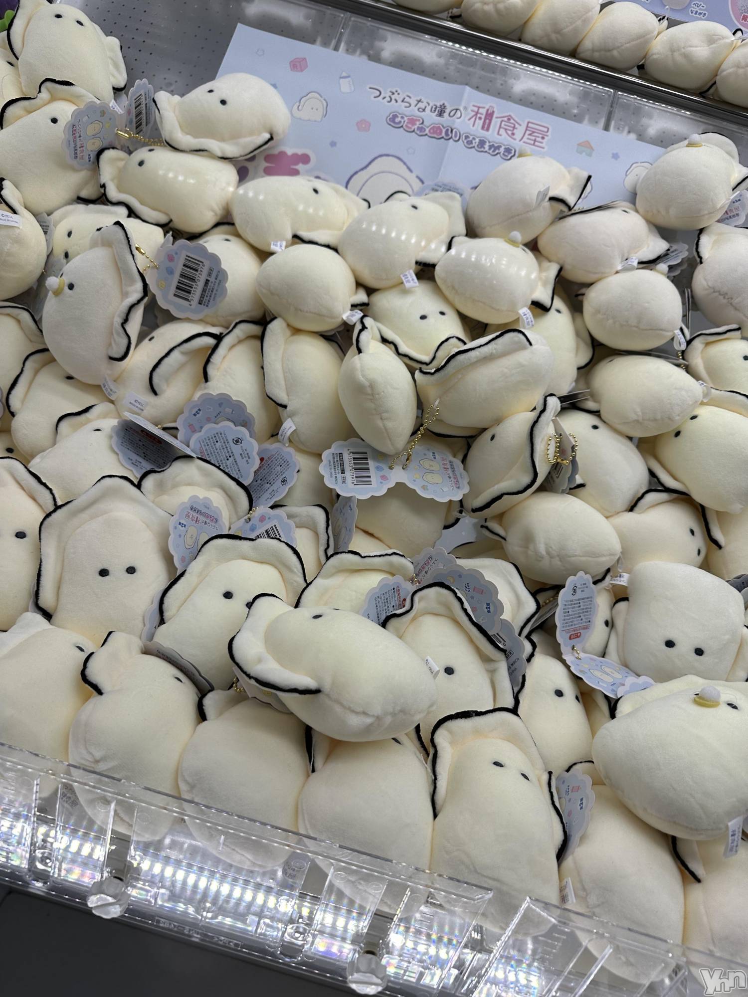 ���ܥ���Х��顦�����CLUB WONDER(����� ������) ��2025ǯ1��16���̥�֥������������Ƥ���ȳ�Ȥ��Ƹ��¤ˤʤä���