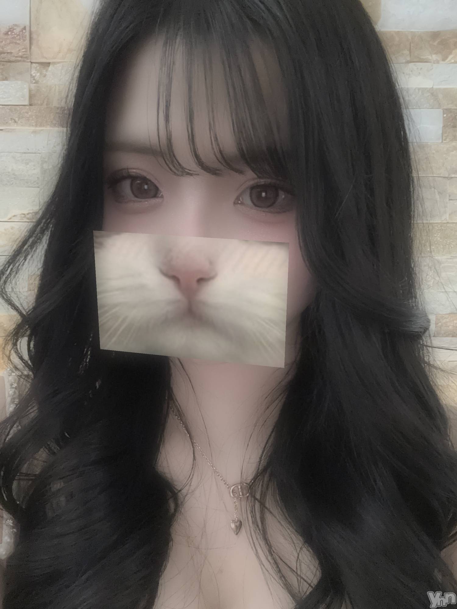 ���ܥ���Х��顦�����CLUB WONDER(����� ������) ��2025ǯ1��31���̥�֥�����🐈‍⬛��