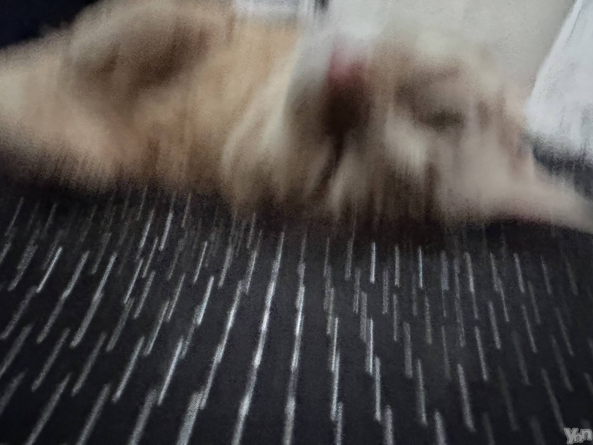 ���ܥ���Х��顦�����CLUB WONDER(����� ������) ��2025ǯ5��29���̥�֥�����(ᐢᴖ ·̫ ᴖᐢ)👍🏻⭐️��