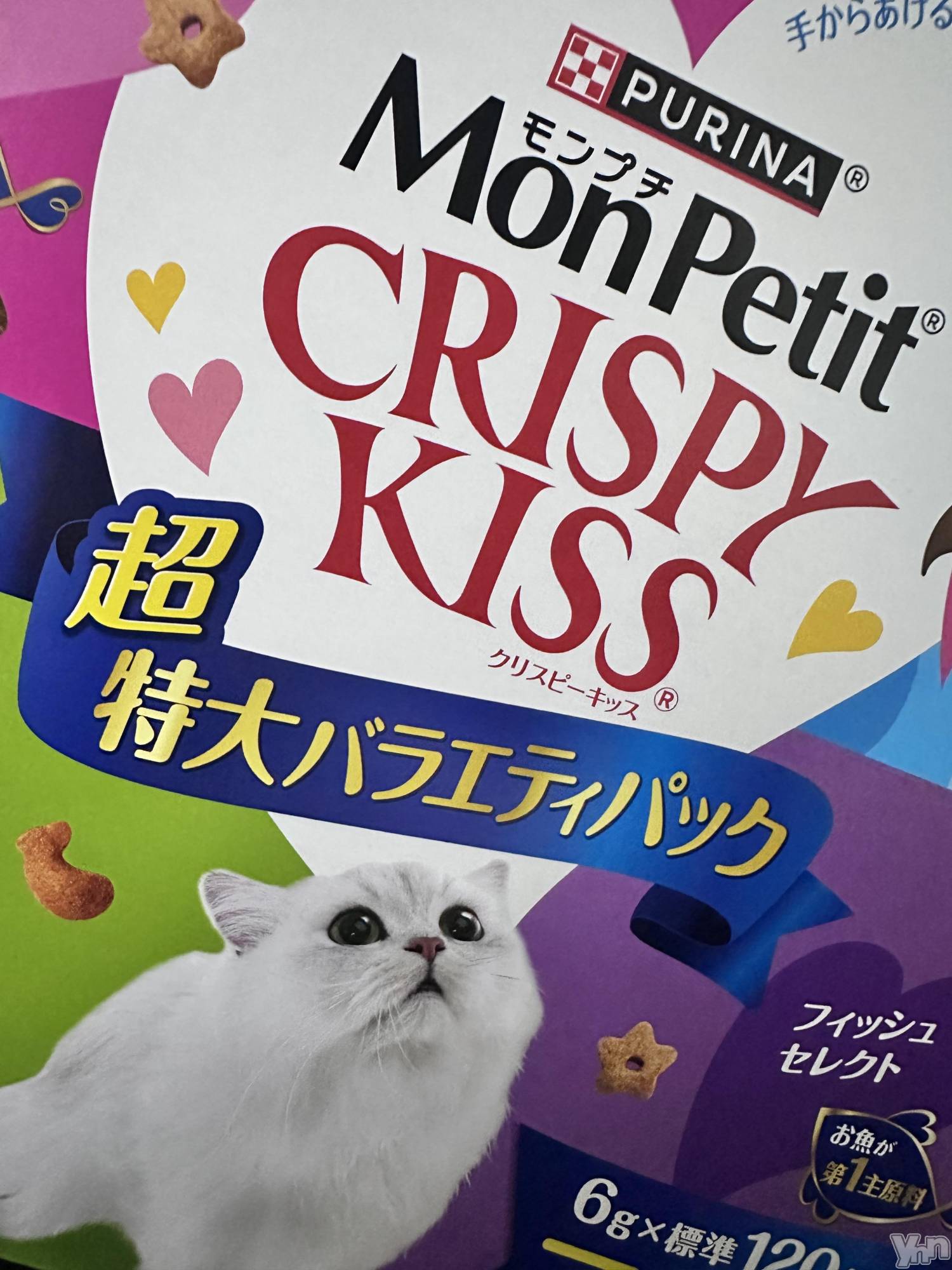 ���ܥ���Х��顦�����CLUB WONDER(����� ������) ��2025ǯ7��11���̥�֥�����🐈🐾��