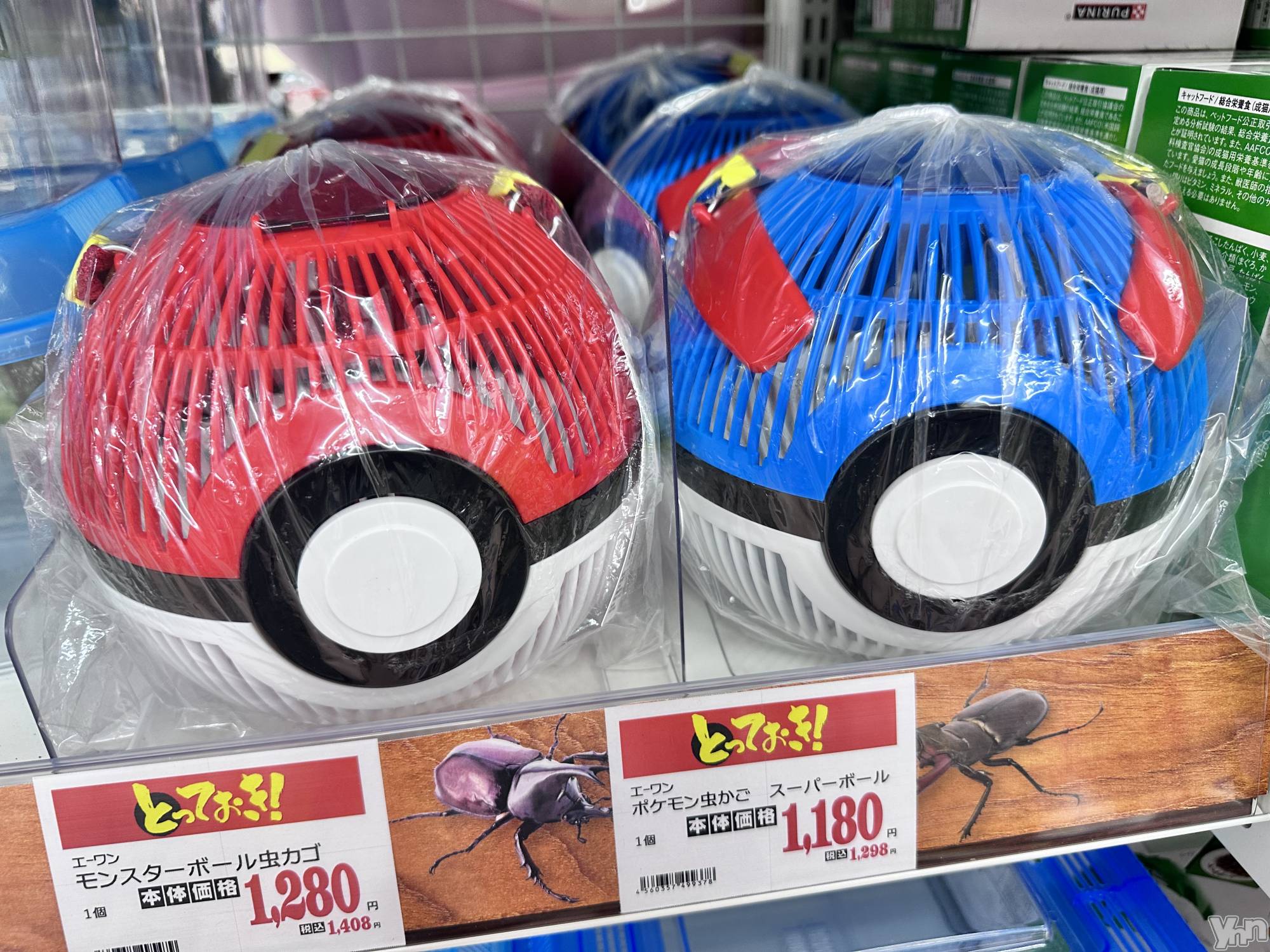 ���ܥ���Х��顦�����CLUB WONDER(����� ������) ��2025ǯ8��17���̥�֥����ַ������򿮤��Ƥ�����