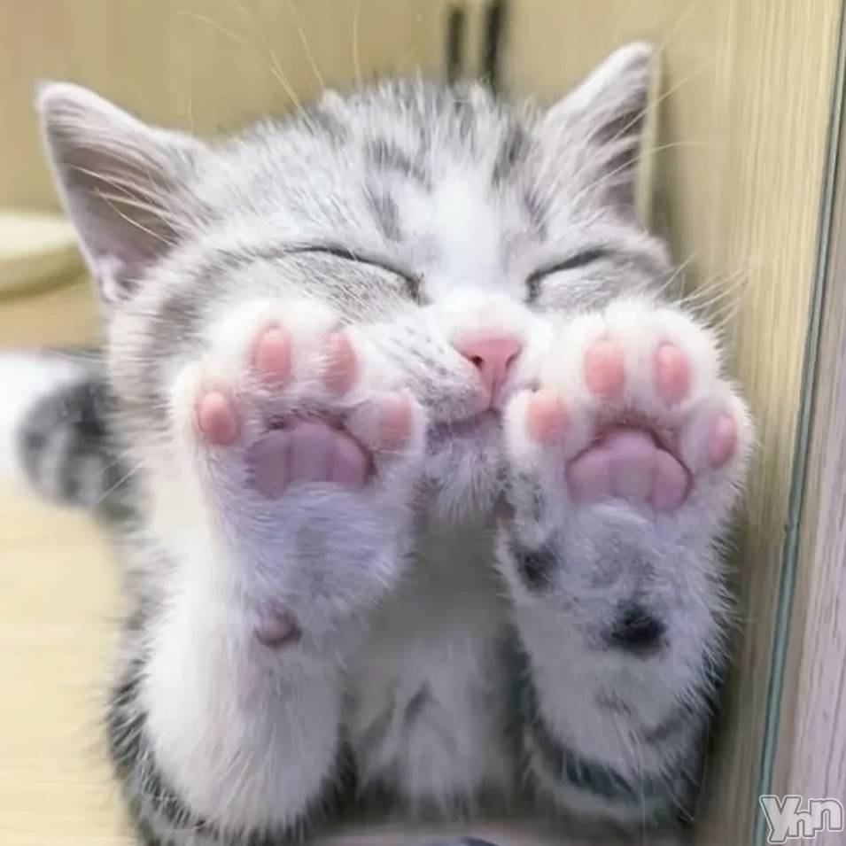 ���ܥ���Х��顦�����CLUB WONDER(����� ������) ��2025ǯ8��22���̥�֥����ַ������������ �ͤ����򸫤ƤƤ��