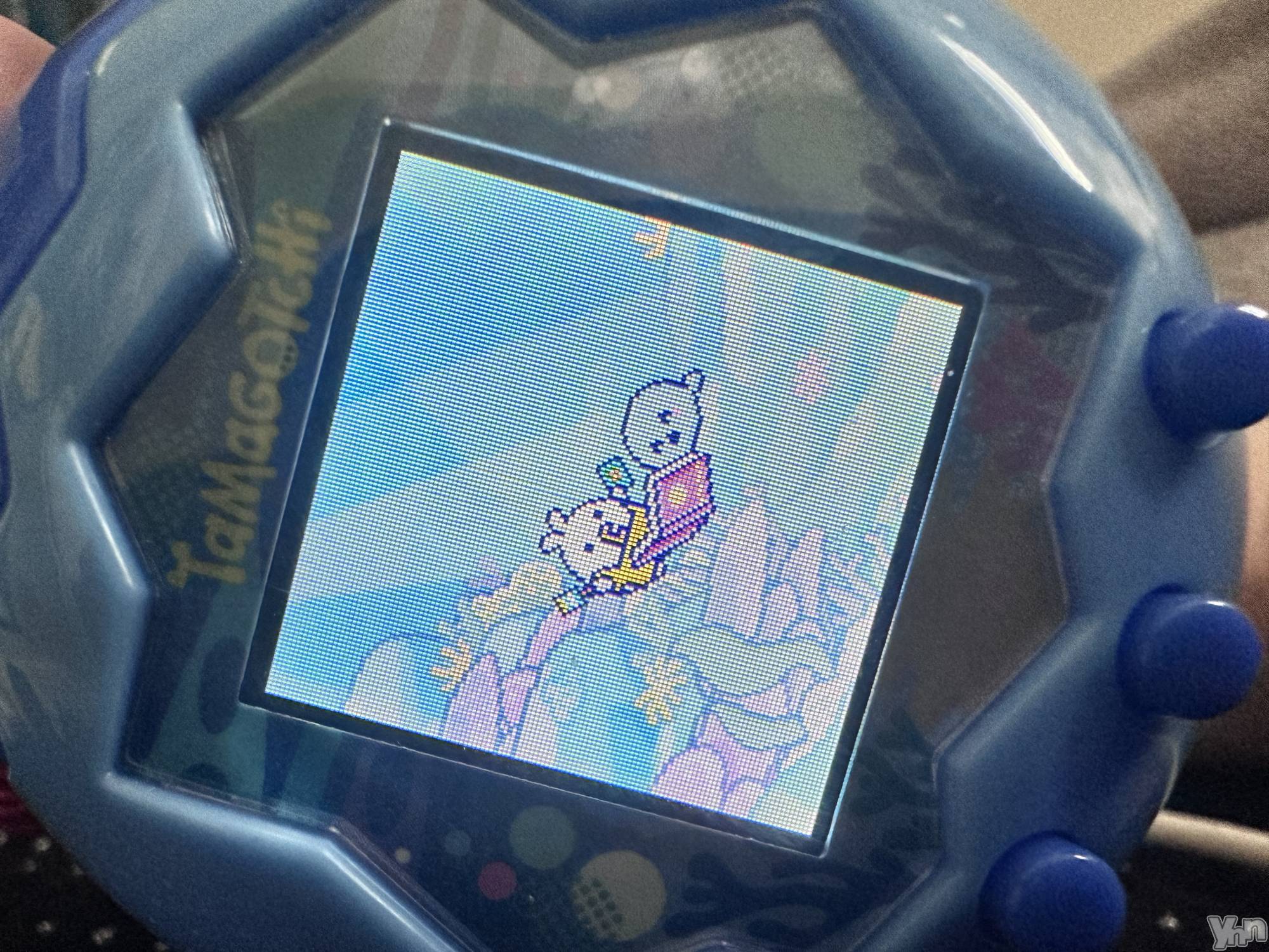 ���ܥ���Х��顦�����CLUB WONDER(����� ������) ��2025ǯ9��6���̥�֥������뤬ī�˾ä��Ƥ��ä��Ρ�