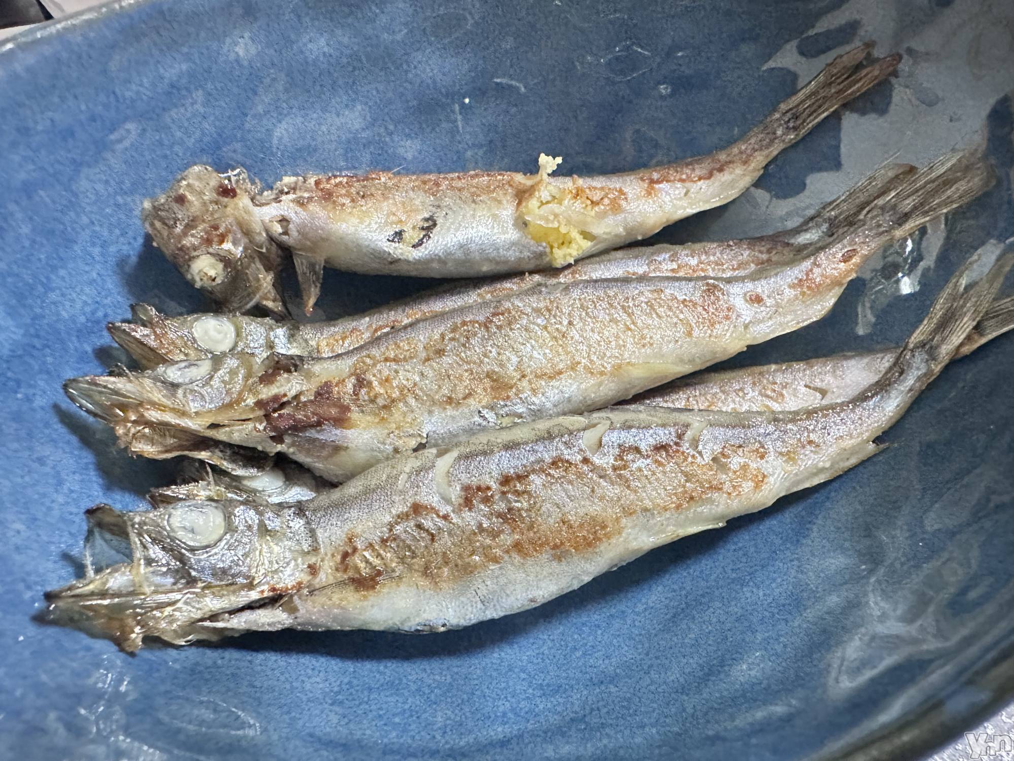 ���ܥ���Х��顦�����CLUB WONDER(����� ������) ��2025ǯ9��7���̥�֥����ְ����ʤ��ǡ���ʳ����