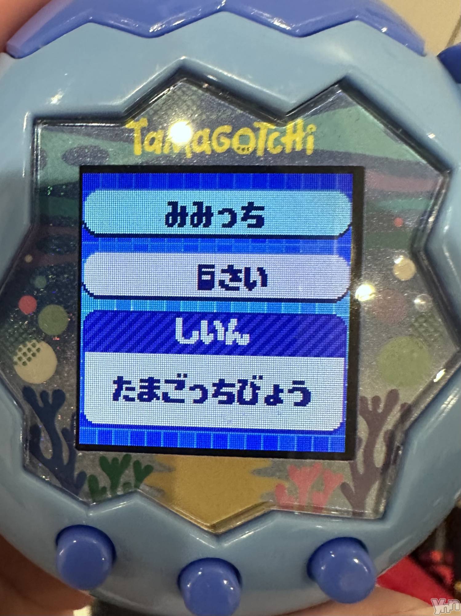 ���ܥ���Х��顦�����CLUB WONDER(����� ������) ��2025ǯ9��19���̥�֥����ַ������Τ򰦤ȴ��㤤���ơ�