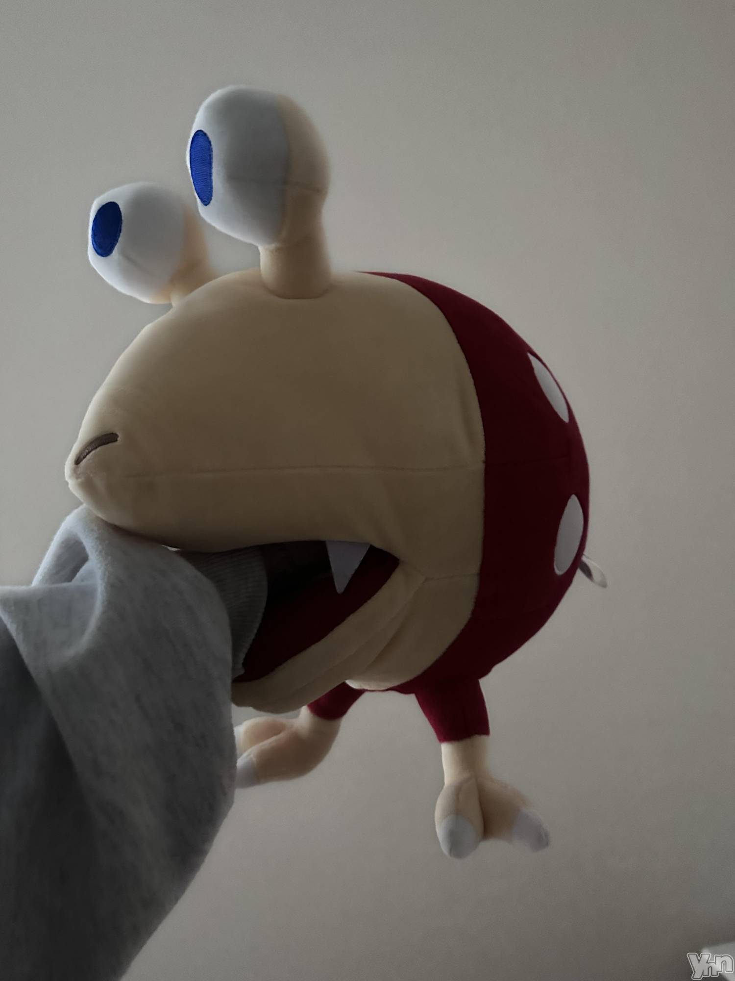 ���ܥ���Х��顦�����CLUB WONDER(����� ������) ��2025ǯ10��9���̥�֥����֤����ܤ򸫤Ƥ�Х�������������