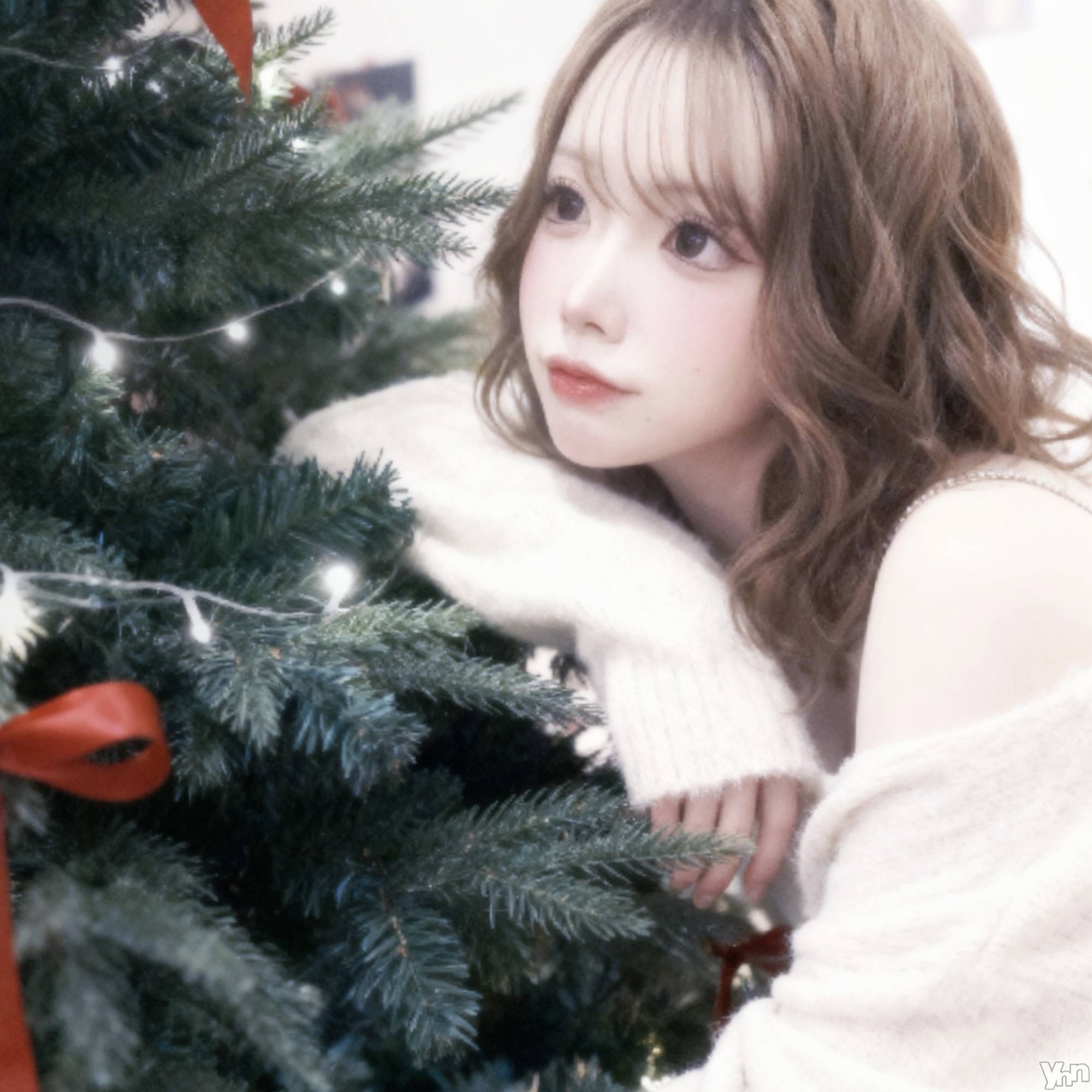 ���ܥ���Х��顦�����CLUB WONDER(����� ������) ��2026ǯ2��19���̥�֥�����2��19�� 23��00ʬ�Υ֥�����