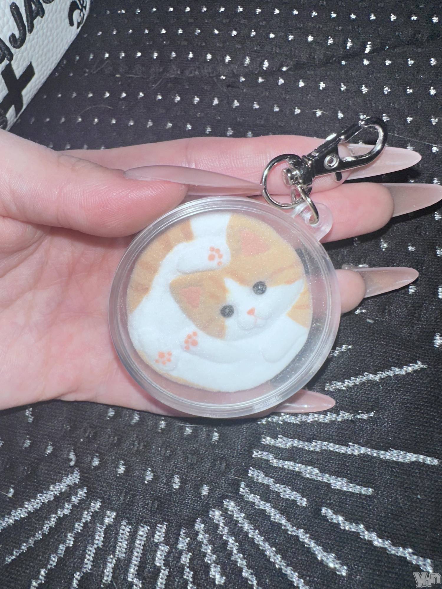 ���ܥ���Х��顦�����CLUB WONDER(����� ������) ��2026ǯ4��16���̥�֥����ֲƤ��Ϥޤä��Ȥ��ͤȷ�����������������