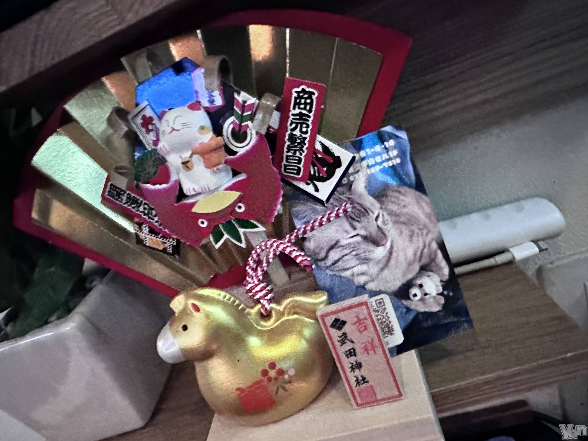 ���ܥ���Х��顦�����CLUB WONDER(����� ������) ��2026ǯ4��21���̥�֥����ֿ������Ρ�������1�ĤǤ������ΤǤ���