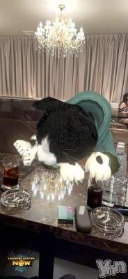 ���ܥ���Х��顦�����CLUB WONDER(����� ������) ����(27)��1��7���̥�֥����֤��꤬���ʥ�֥��󥰤ǤⰦ��������Ƥ�Ρ�