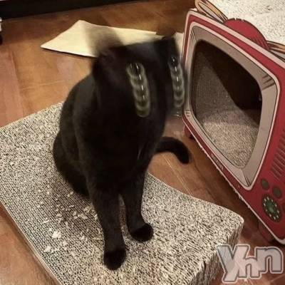 ���ܥ���Х��顦�����CLUB WONDER(����� ������) ����(27)��1��23���̥�֥����֥ͥå���