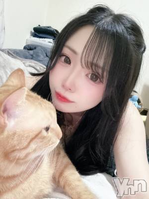 ���ܥ���Х��顦�����CLUB WONDER(����� ������) ����(27)��4��23���̥�֥�����🐈🧏🏻‍��️♥️��