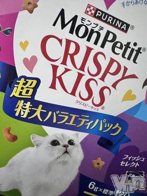 ���ܥ���Х��顦�����CLUB WONDER(����� ������) ����(27)��7��11���̥�֥�����🐈🐾��