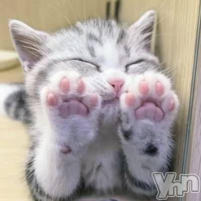 ���ܥ���Х��顦�����CLUB WONDER(����� ������) ����(27)��8��22���̥�֥����ַ������������ �ͤ����򸫤ƤƤ��