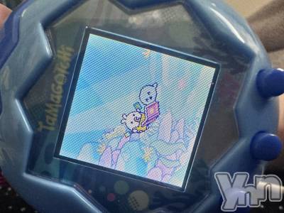 ���ܥ���Х��顦�����CLUB WONDER(����� ������) ����(27)��9��6���̥�֥������뤬ī�˾ä��Ƥ��ä��Ρ�