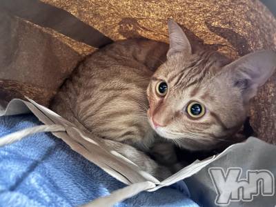 ���ܥ���Х��顦�����CLUB WONDER(����� ������) ����(27)��11��7���̥�֥����ֽв�ä���äƤ��餢�����İ����Ρ�