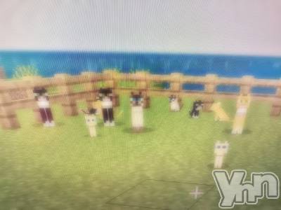 ���ܥ���Х��顦�����CLUB WONDER(����� ������) ����(27)��11��14���̥�֥����ֹȤ˺餤�����β֤βָ��դϡ�Υ��椯���ס�