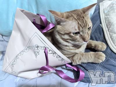 ���ܥ���Х��顦�����CLUB WONDER(����� ������) ����(27)��7��11���̥�֥����֤��ʤ��Ϥ��Τޤޤ� ��ι����ʤ��ʤ��Ǥ��Ƥ͡�