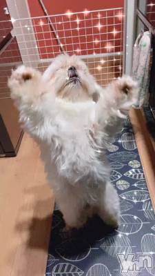 ����ʺ��� �����䤫�ʺ���