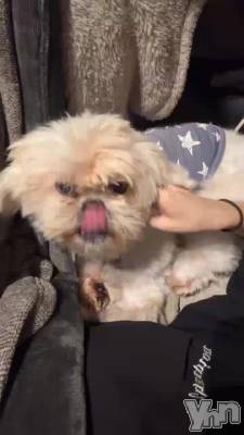 ���ä�ï�����ä��Ƥ��ޤ��Ф���