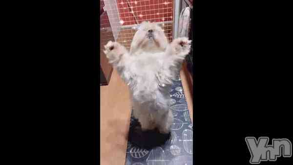 �ְ���ʺ��� �����䤫�ʺ�����