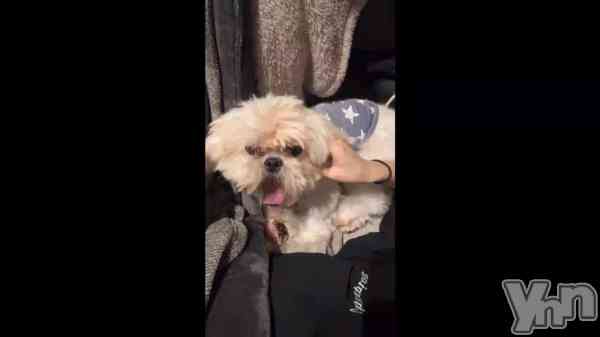 �֤��ä�ï�����ä��Ƥ��ޤ��Ф�����