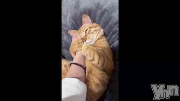 �֭���⓪��