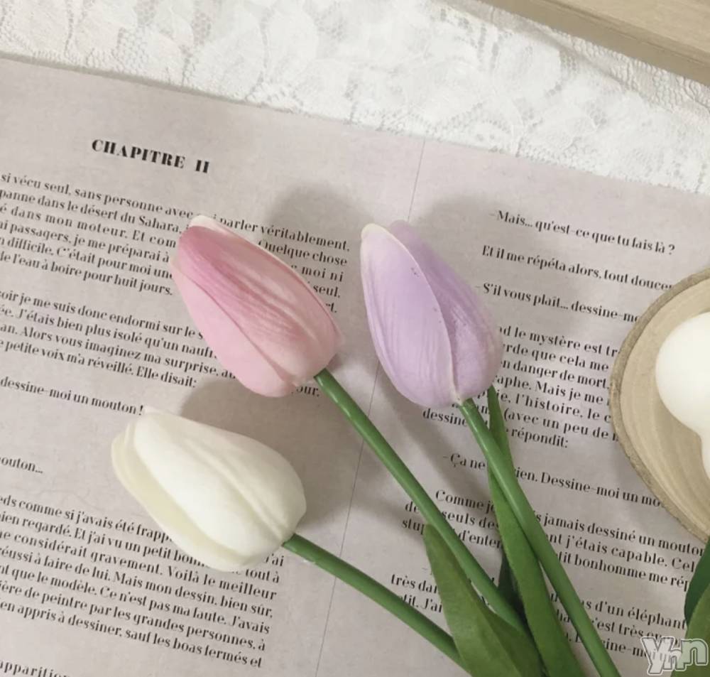 ���ܥ���Х��顦�����CLUB WONDER(����� ������) �餤���6��5���̥�֥������������