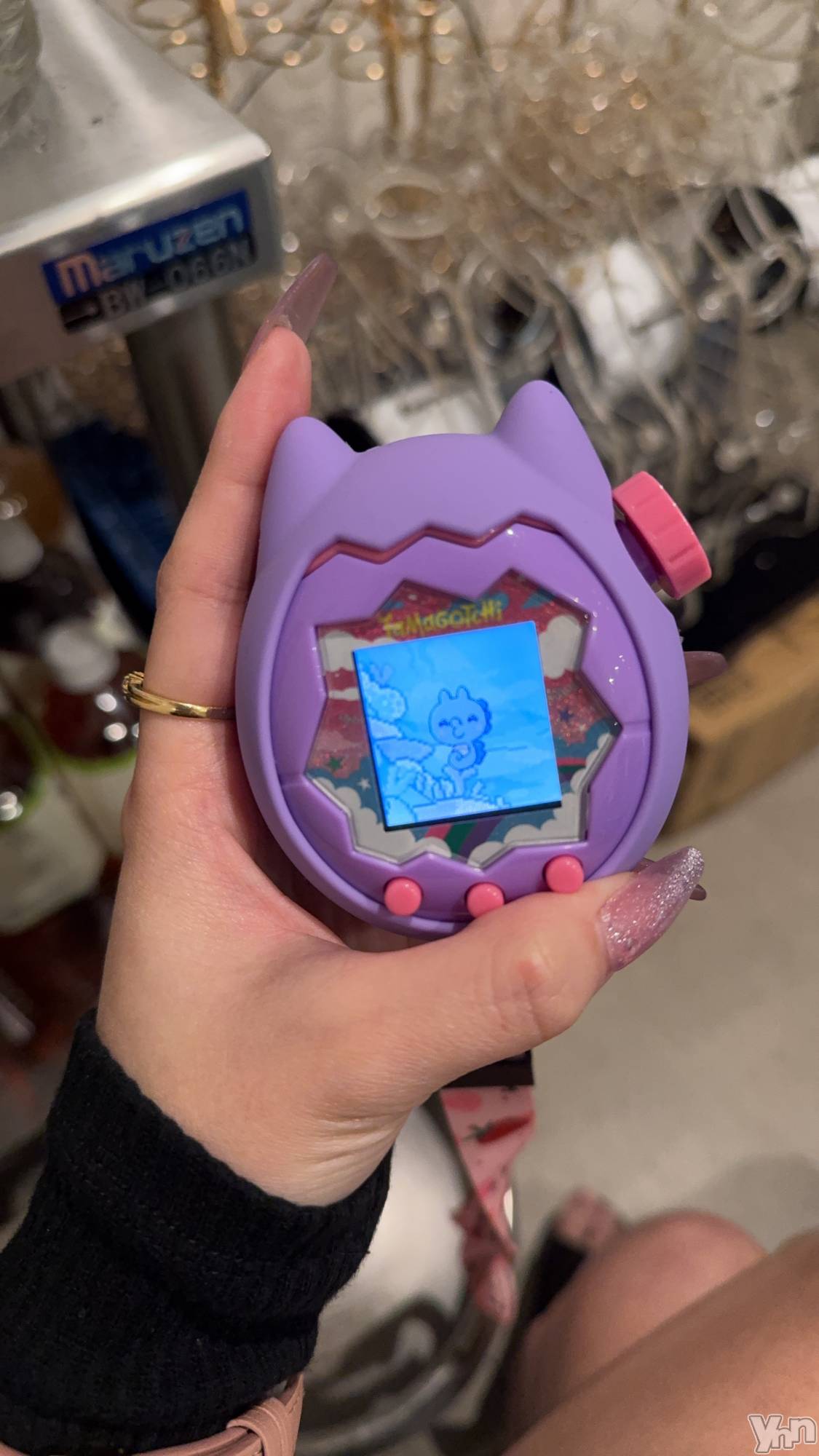 ���ܥ���Х��顦�����CLUB WONDER(����� ������) ��2025ǯ9��27���̥�֥����ֺ����⤿�Τ����Τा����