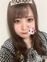  ܥʥå륺С 󥫥եBar Pearl(󥫥եСѡ)ҡ