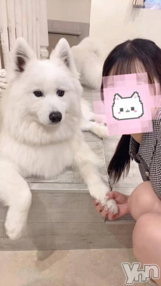甲府デリヘルLOVE CLOVER(ラブクローバー) ねね(19)の4月29日写メブログ「しゅ💙最終日」
