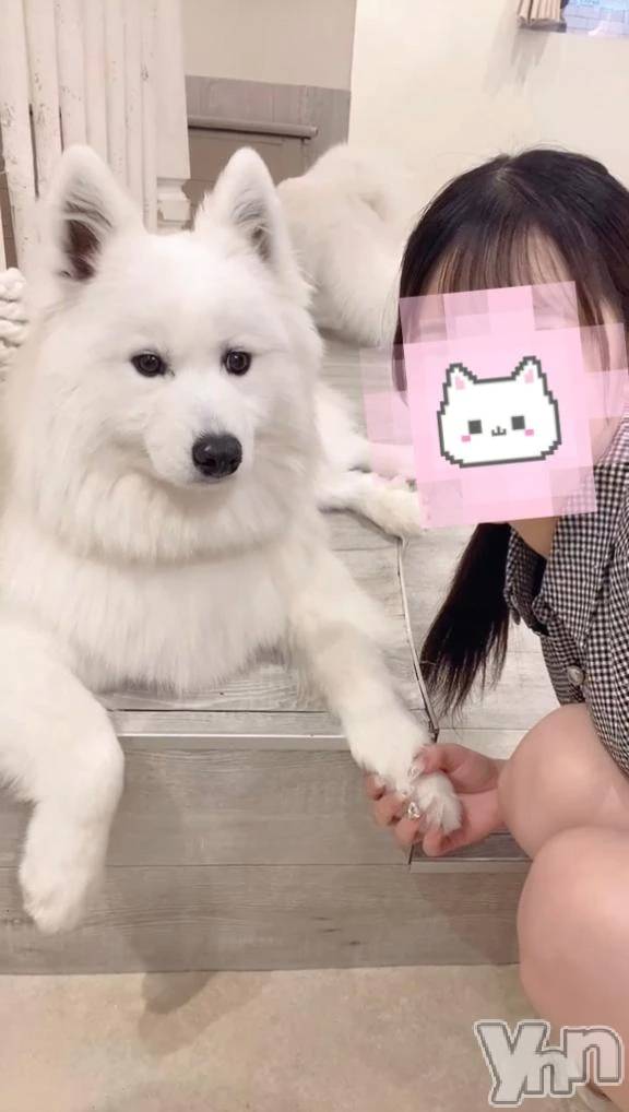 甲府デリヘルLOVE CLOVER(ラブクローバー)ねね(19)の2026年4月29日写メブログ「しゅ💙最終日」