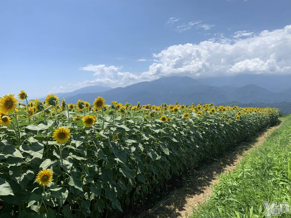 ���ܥ���Х��顦�����CLUB WONDER(����� ������) �������Ҥ�7��25���̥�֥�����🌻��