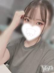 甲府ソープオレンジハウス あいな(22)の10月15日写メブログ「7日目✨️」