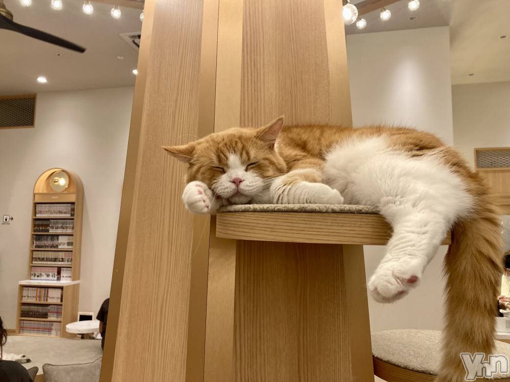 ���ܥ���Х��顦�����club RUDAN(����֥����) �Τ���3��11���̥�֥�����.��