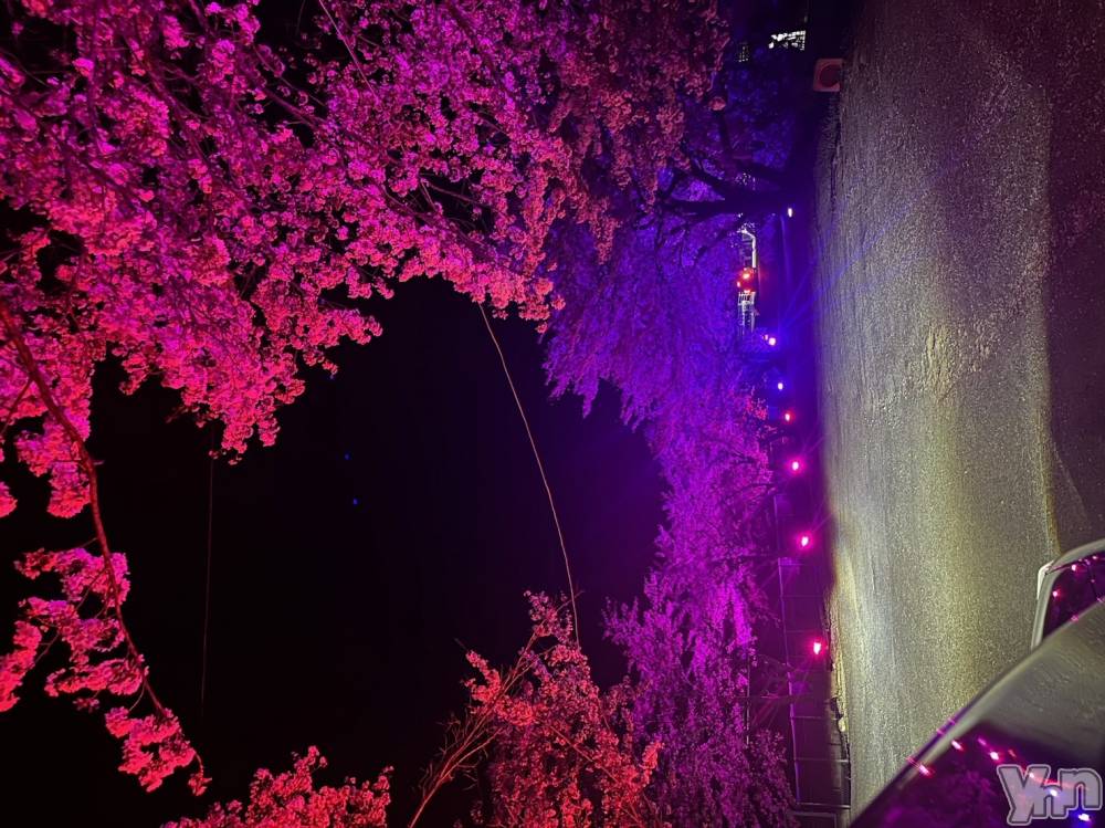 ���ܥ���Х��顦�����club RUDAN(����֥����) �Τ���4��20���̥�֥�����.��