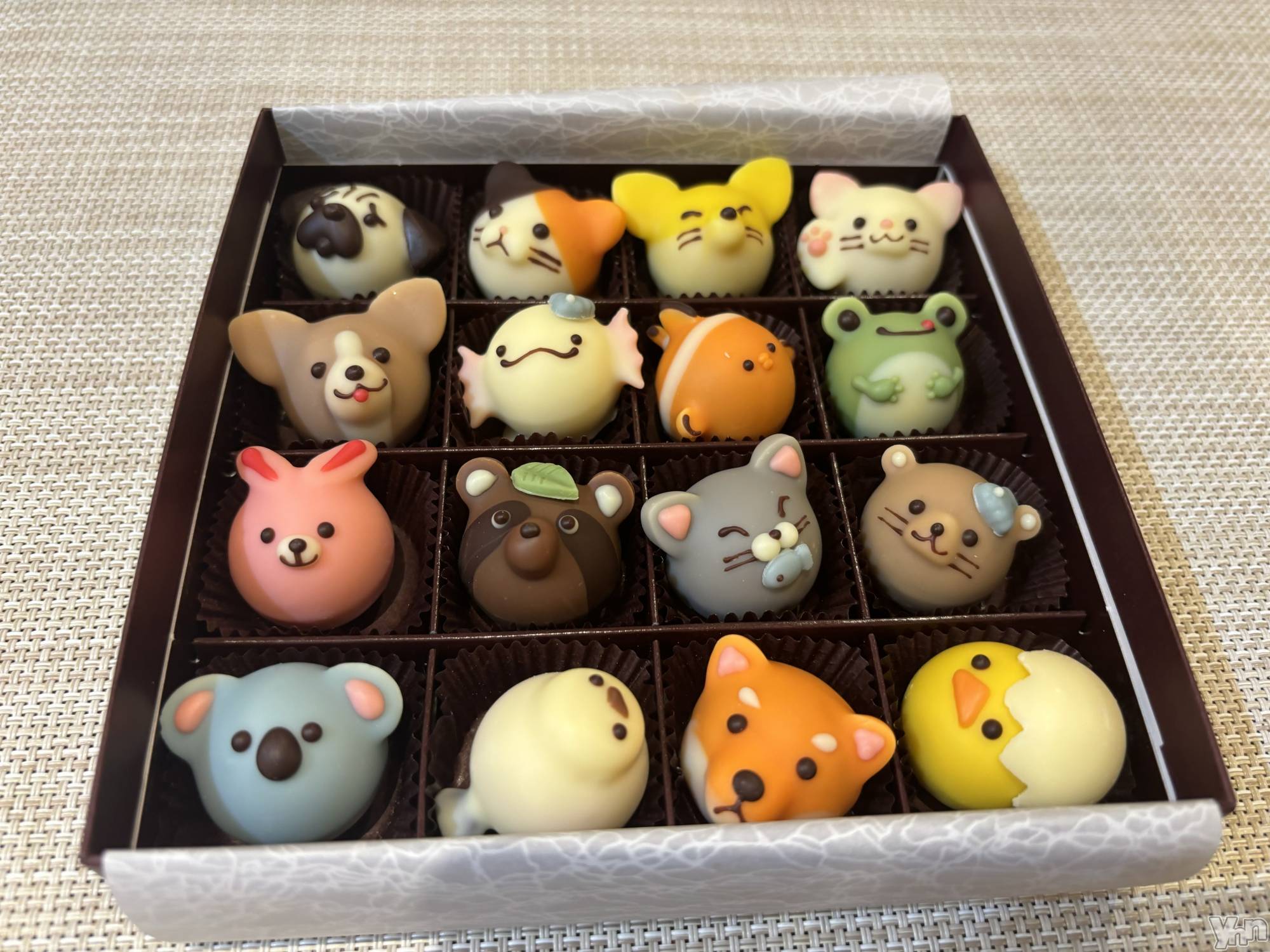 ���ܥ���Х��顦�����club RUDAN(����֥����) ��2024ǯ2��8���̥�֥�����.��