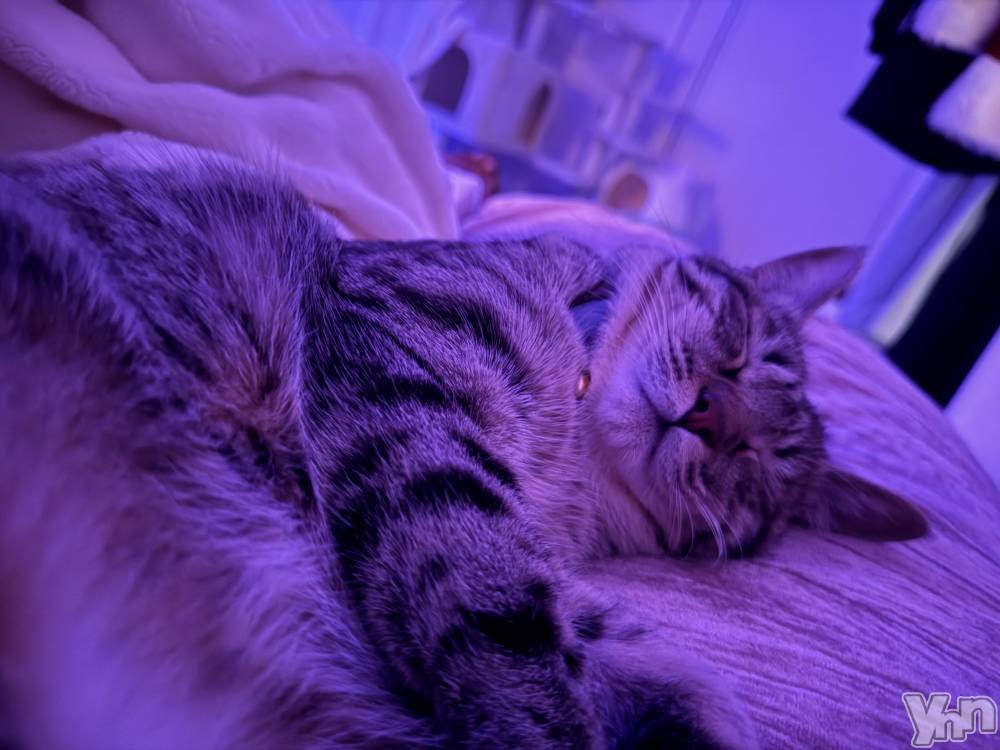 ���ܥ���Х��顦�����CLUB WONDER(����� ������) ����ʤ�3��28���̥�֥����֤��礦�⡼����