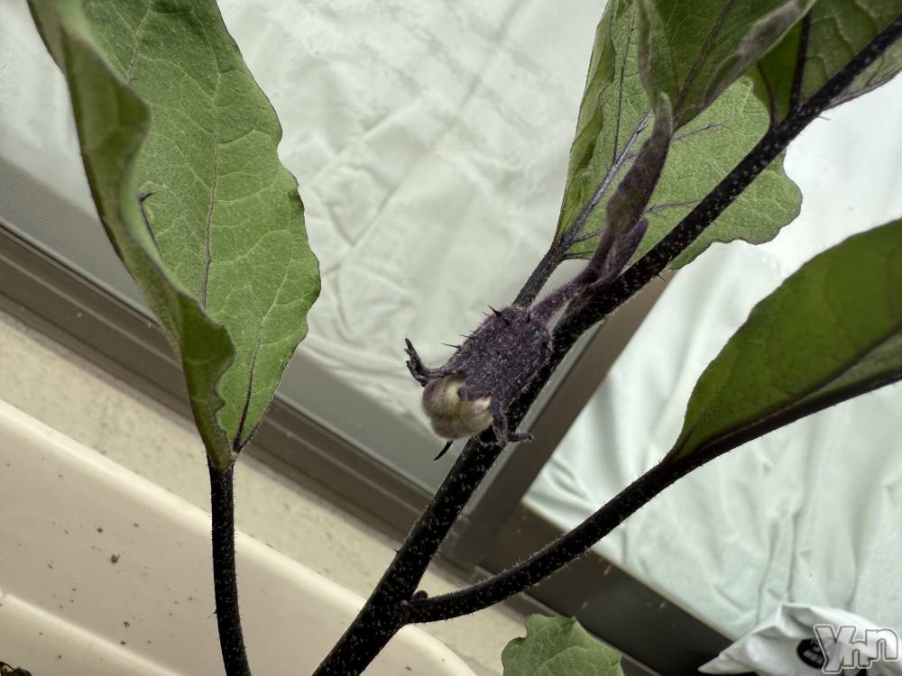 ���ܥ���Х��顦�����CLUB WONDER(����� ������) ����ʤ�4��25���̥�֥����ֺ����🥂��