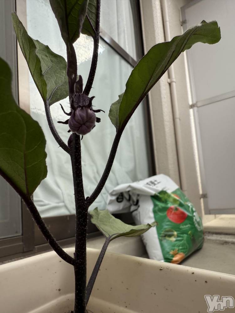 ���ܥ���Х��顦�����CLUB WONDER(����� ������) ����ʤ�4��26���̥�֥����������Ǥ�👶🏻��