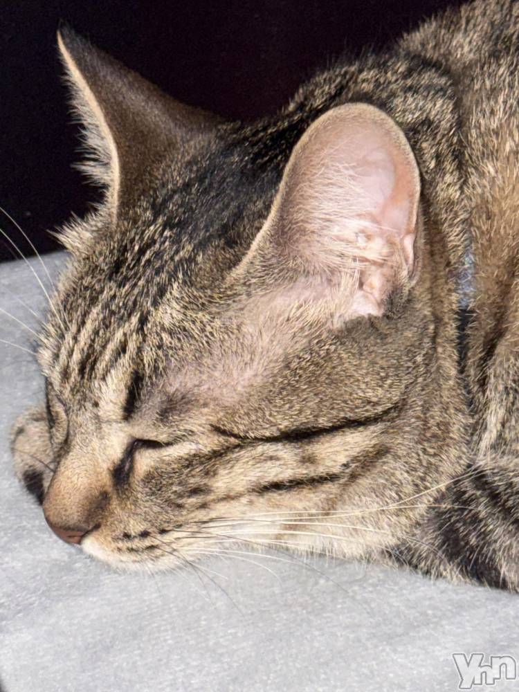 ���ܥ���Х��顦�����CLUB WONDER(����� ������) ����ʤ�4��30���̥�֥����֤��äȡ�