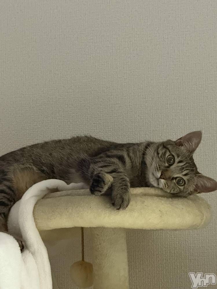 ���ܥ���Х��顦�����CLUB WONDER(����� ������) ����ʤ�6��26���̥�֥����ֺ����⤤����ʤɡ���