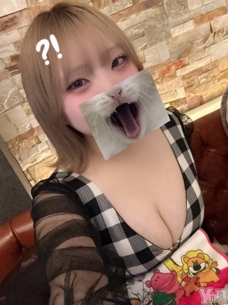 ���ܥ���Х��顦�����CLUB WONDER(����� ������) ����ʤ�9��19���̥�֥����֤Ԥ��