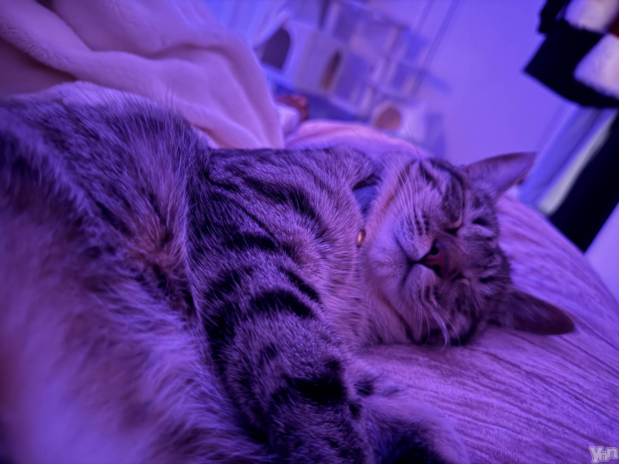 ���ܥ���Х��顦�����CLUB WONDER(����� ������) ��2025ǯ3��28���̥�֥����֤��礦�⡼����