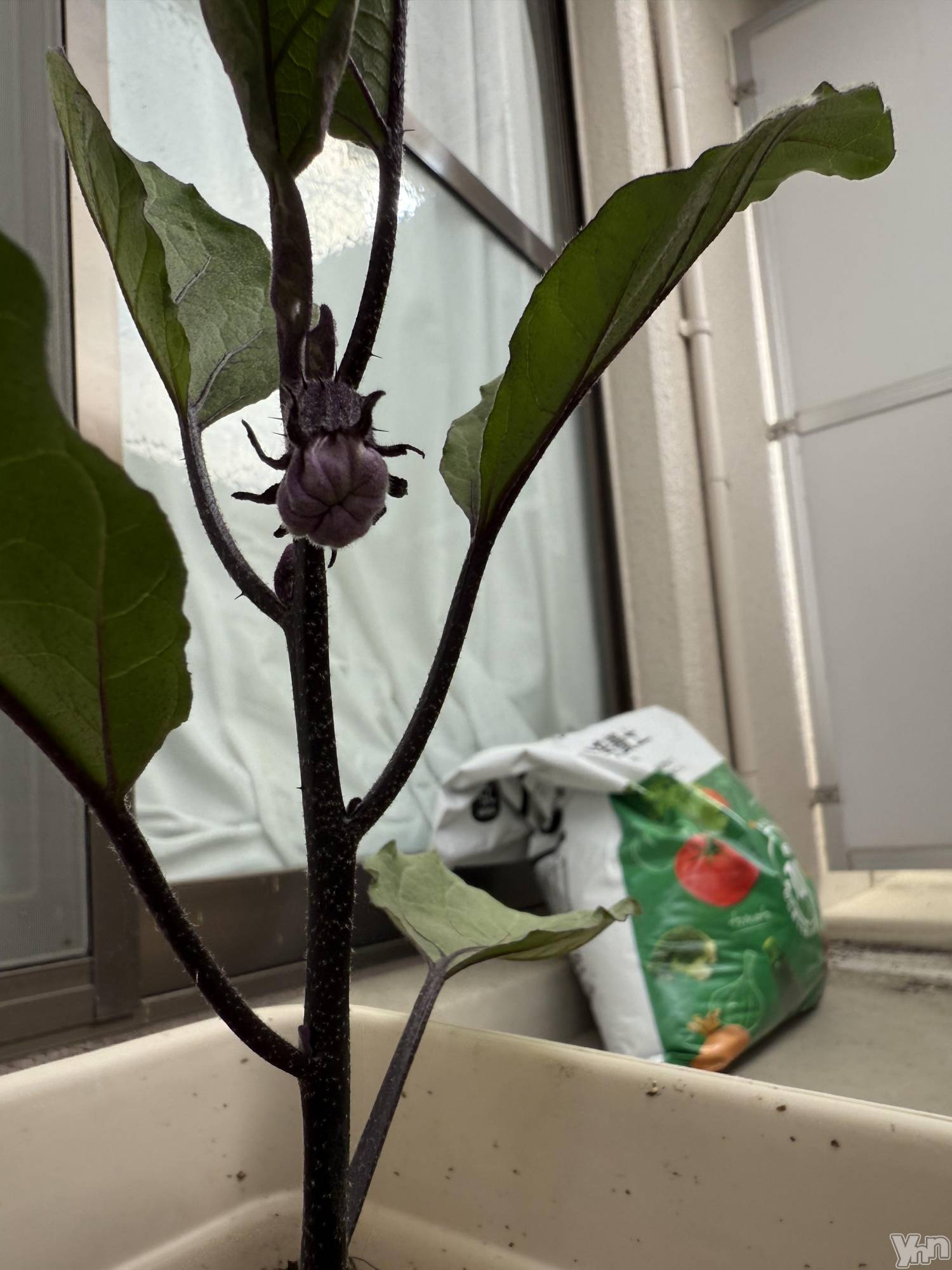 ���ܥ���Х��顦�����CLUB WONDER(����� ������) ��2025ǯ4��26���̥�֥����������Ǥ�👶🏻��